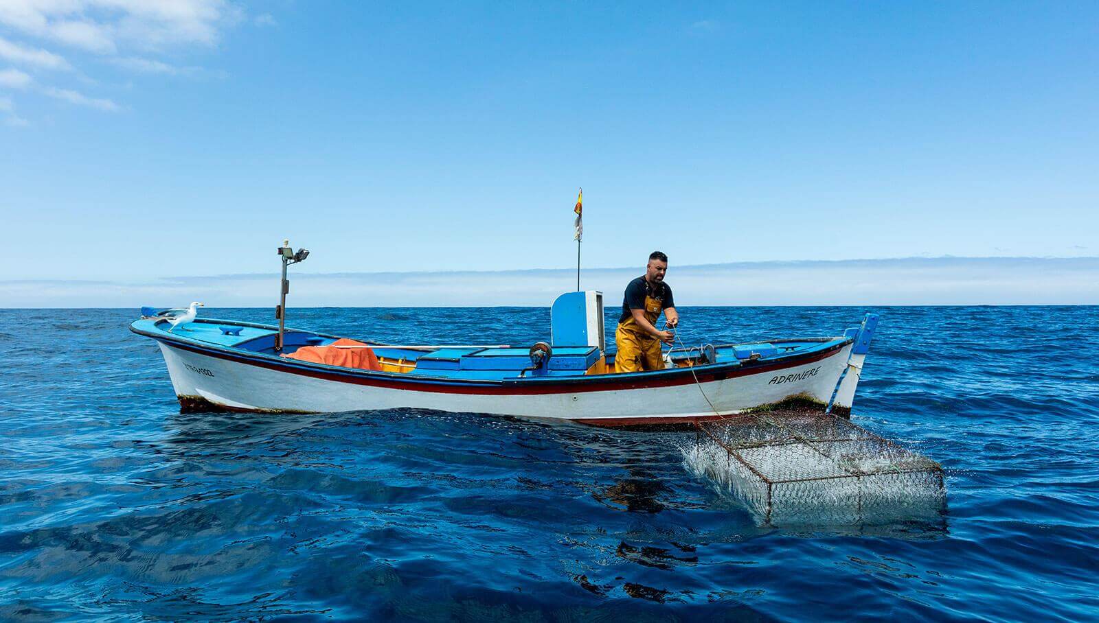 Lokalt fiskeri. Tenerife.