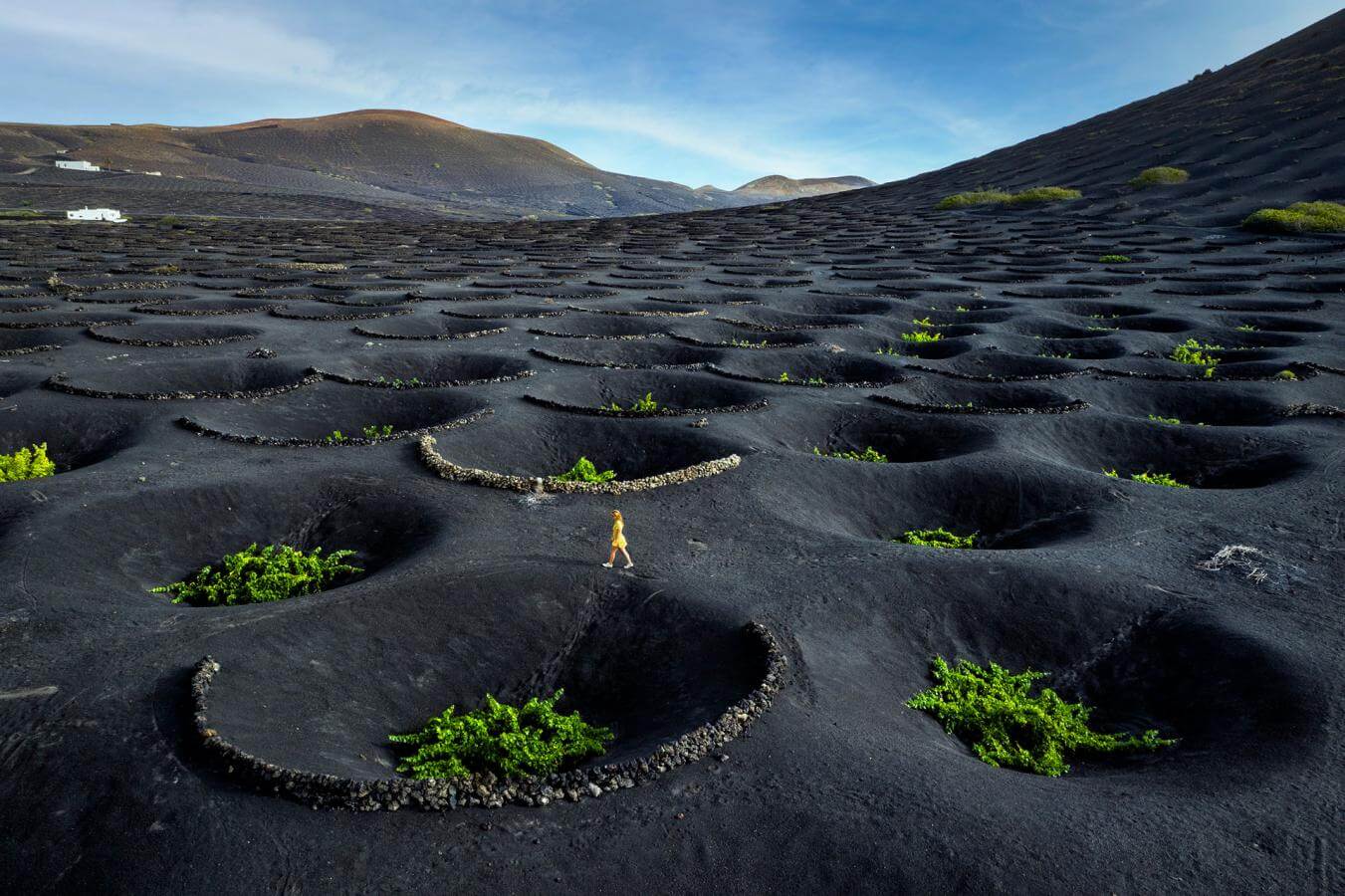 La Geria Lanzarote