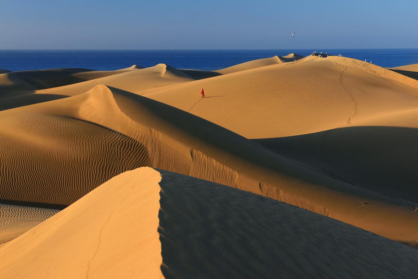 Det Spesielle Naturreservatet Las Dunas De Maspalomas | Hei Kanariøyene